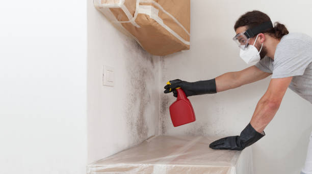 Professional Mold Inspection And Testing technician working in Wellesley Hills, MA